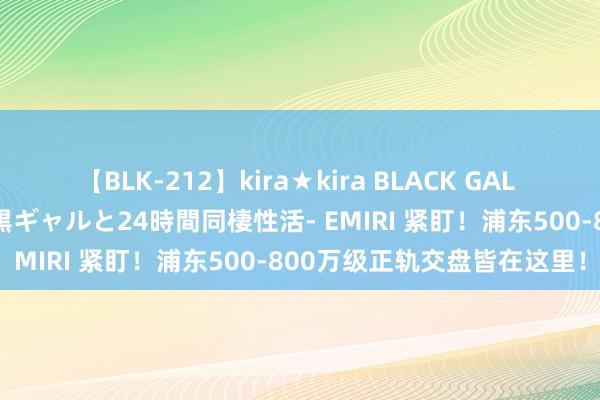 【BLK-212】kira★kira BLACK GAL レンタル痴女GAL-日焼け黒ギャルと24時間同棲性活- EMIRI 紧盯!浦东500-800万级正轨交盘皆在这里!