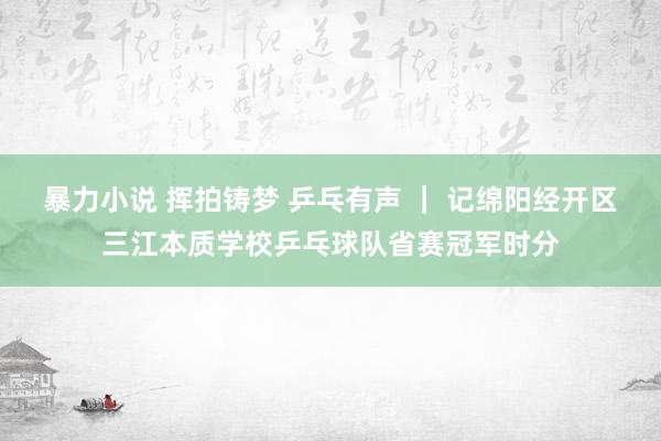 暴力小说 挥拍铸梦 乒乓有声 ｜ 记绵阳经开区三江本质学校乒乓球队省赛冠军时分
