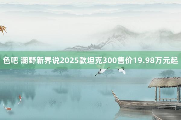 色吧 潮野新界说2025款坦克300售价19.98万元起