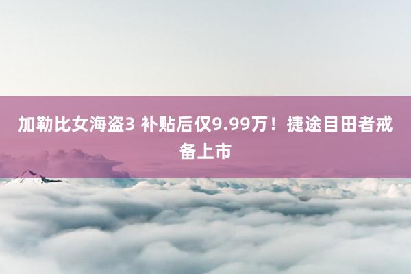 加勒比女海盗3 补贴后仅9.99万！捷途目田者戒备上市