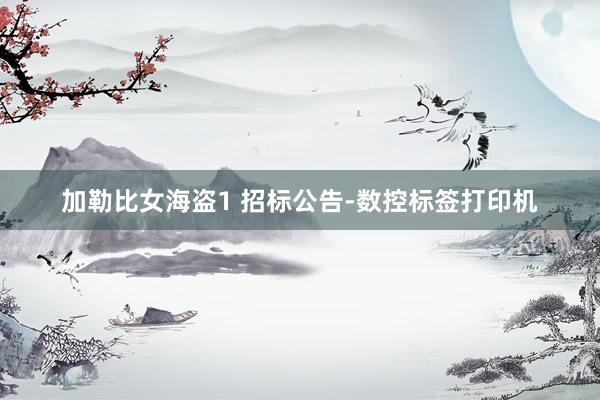 加勒比女海盗1 招标公告-数控标签打印机