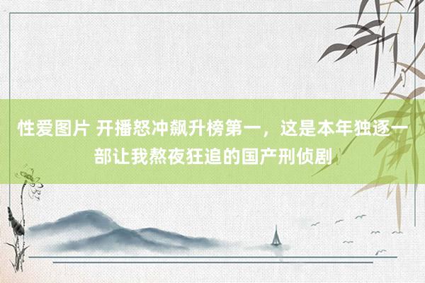 性爱图片 开播怒冲飙升榜第一，这是本年独逐一部让我熬夜狂追的国产刑侦剧