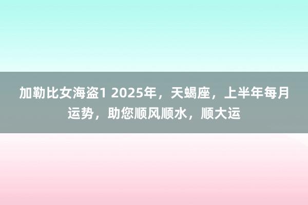 加勒比女海盗1 2025年，天蝎座，上半年每月运势，助您顺风顺水，顺大运