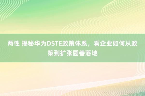 两性 揭秘华为DSTE政策体系，看企业如何从政策到扩张圆善落地