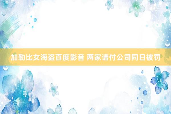 加勒比女海盗百度影音 两家谱付公司同日被罚