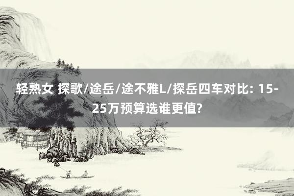 轻熟女 探歌/途岳/途不雅L/探岳四车对比: 15-25万预算选谁更值?
