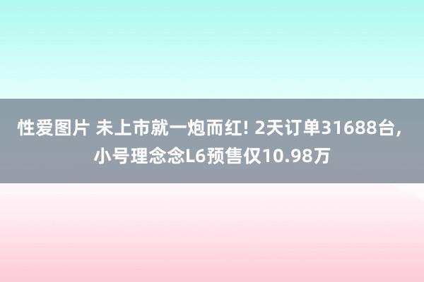性爱图片 未上市就一炮而红! 2天订单31688台， 小号理念念L6预售仅10.98万