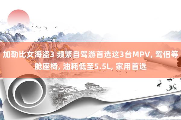 加勒比女海盗3 频繁自驾游首选这3台MPV， 鸳侣等舱座椅， 油耗低至5.5L， 家用首选