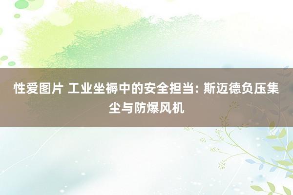 性爱图片 工业坐褥中的安全担当: 斯迈德负压集尘与防爆风机