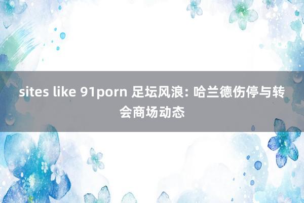 sites like 91porn 足坛风浪: 哈兰德伤停与转会商场动态