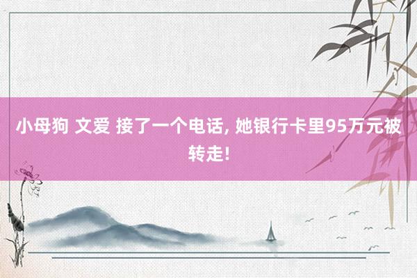 小母狗 文爱 接了一个电话， 她银行卡里95万元被转走!