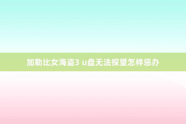 加勒比女海盗3 u盘无法探望怎样惩办