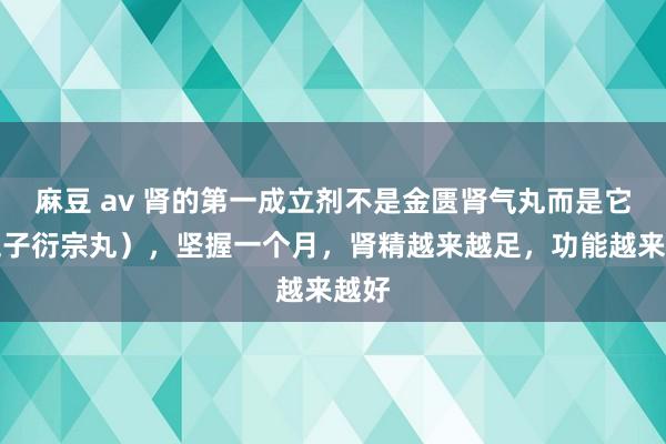 麻豆 av 肾的第一成立剂不是金匮肾气丸而是它（五子衍宗丸），坚握一个月，肾精越来越足，功能越来越好