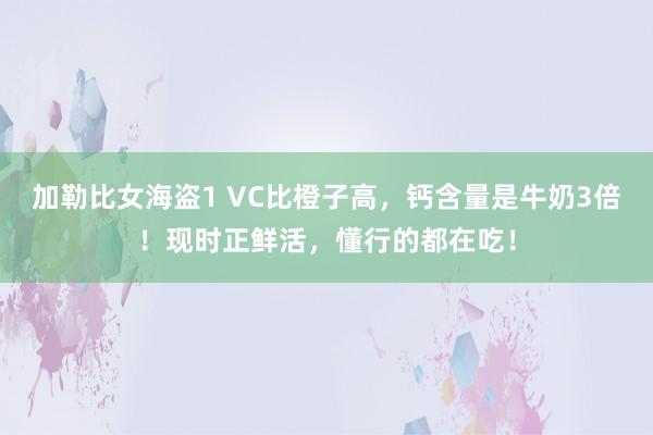 加勒比女海盗1 VC比橙子高，钙含量是牛奶3倍！现时正鲜活，懂行的都在吃！