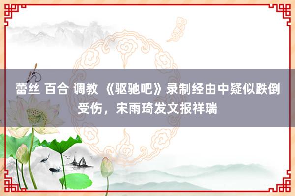 蕾丝 百合 调教 《驱驰吧》录制经由中疑似跌倒受伤，宋雨琦发文报祥瑞